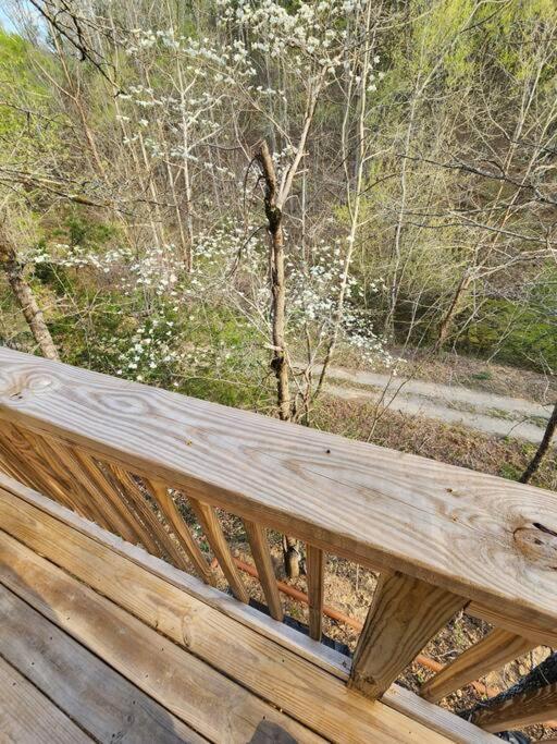 Dancing Bear Cabin- Relax & Enjoy! * Sevierville