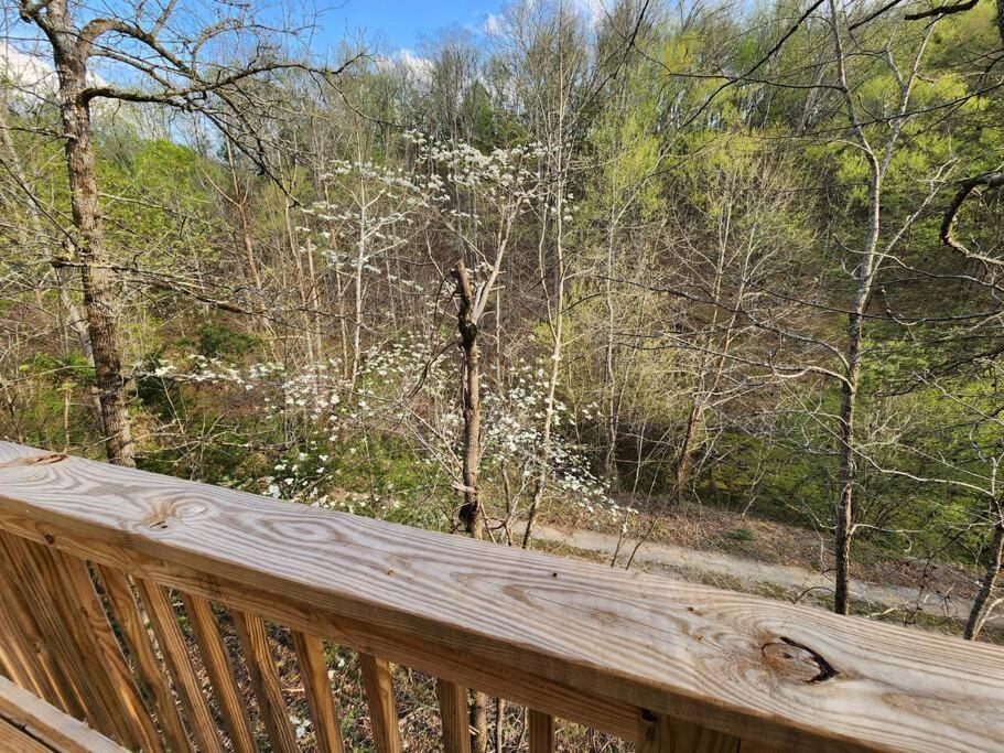 Dancing Bear Cabin- Relax & Enjoy! Hébergement de vacances Sevierville